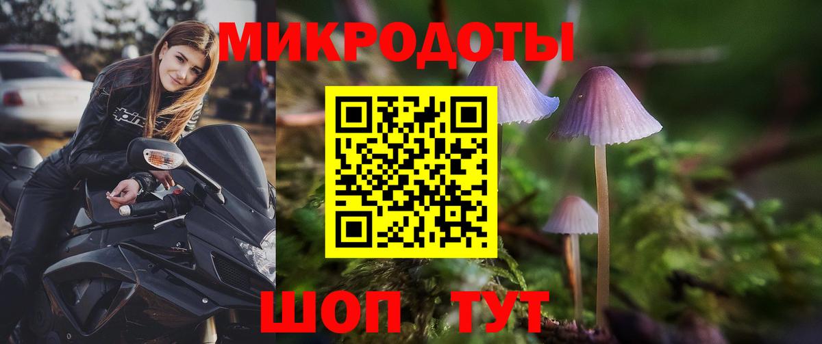Галлюциногенные грибы Cubensis  закладки  Галлюциногенные грибы Psilocybe  Курчатов  Вход с VPN 